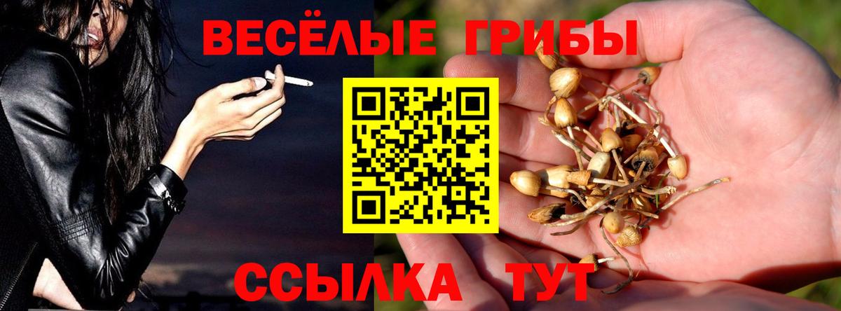 Псилоцибиновые грибы мухоморы Кингисепп